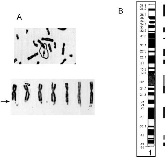 Fig. (7)