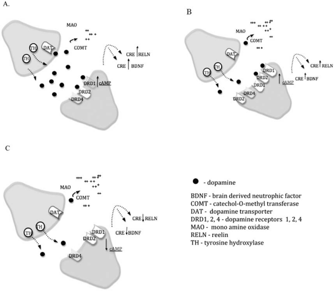 Fig. (4)