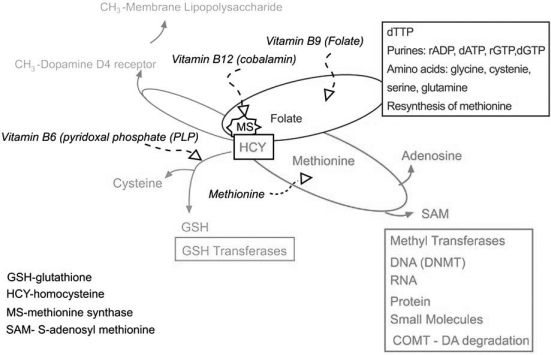 Fig. (12)