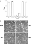 FIG. 7