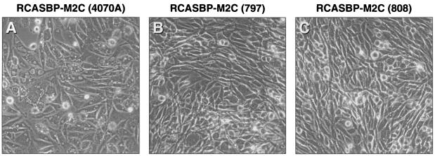 FIG. 5