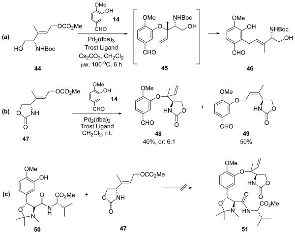 Scheme 7