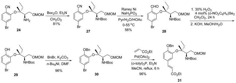 Scheme 4