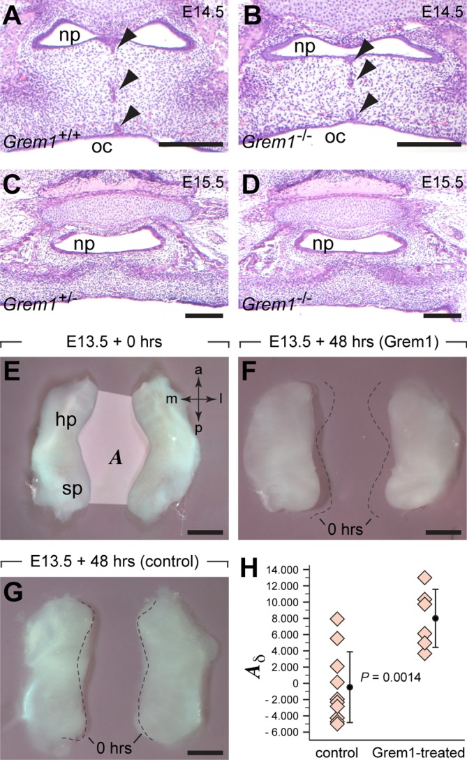 Fig 5