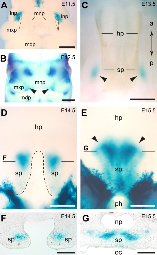 Fig 4