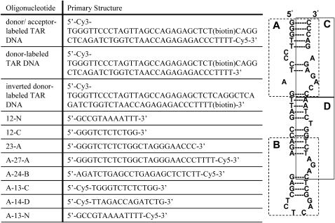 SCHEME 3