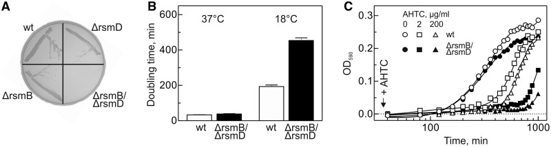 Figure 3.