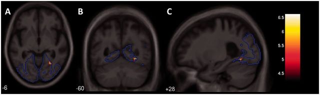 Figure 7