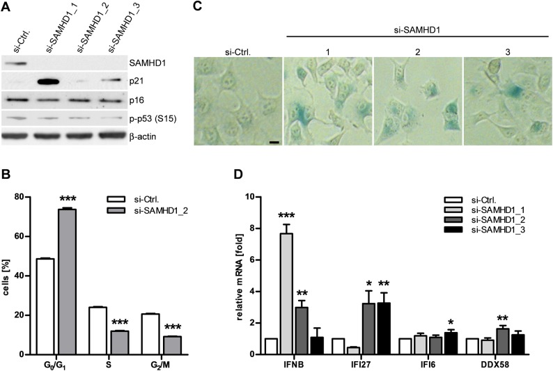 Figure 4