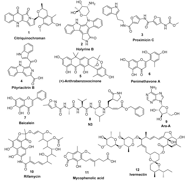 Figure 4