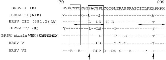 FIG. 5