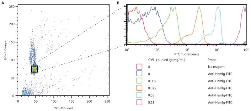 Fig. 2