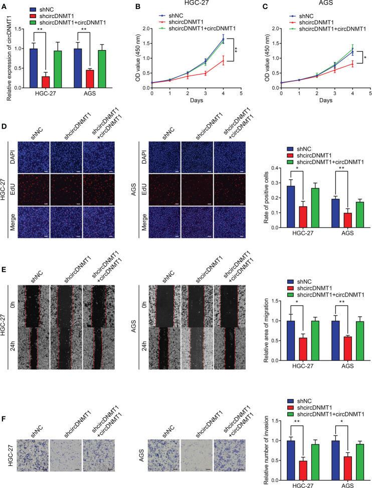 Figure 2