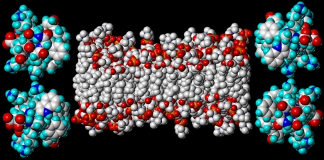FIGURE 12.