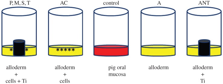 Figure 1.