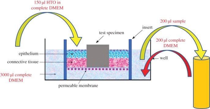 Figure 2.