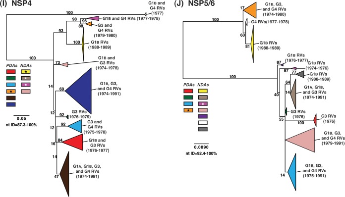 FIG 3