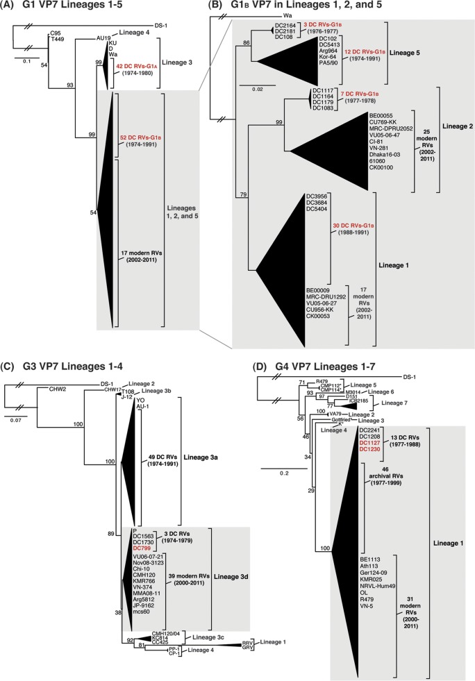 FIG 2