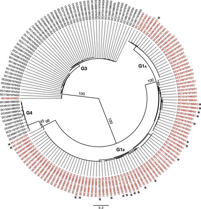 FIG 1