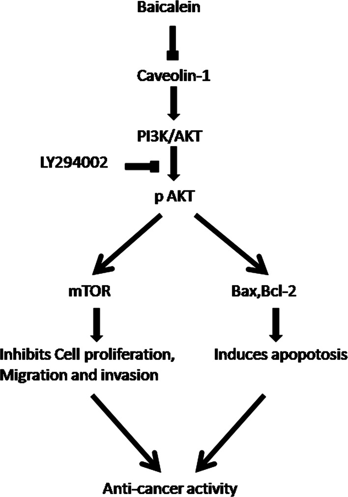 Fig. 7