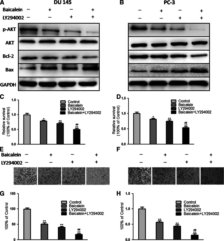 Fig. 6