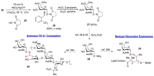 Scheme 5