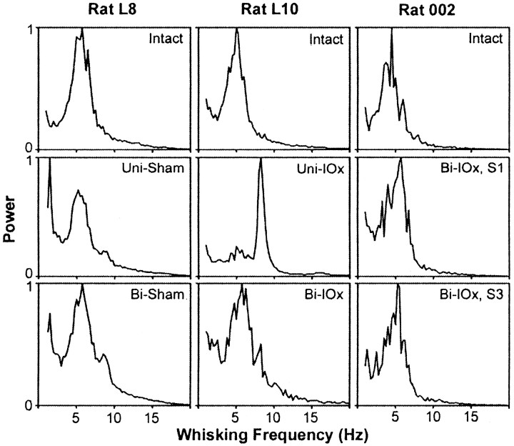 Fig. 10.