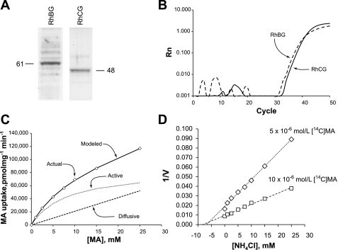 Fig. 10.