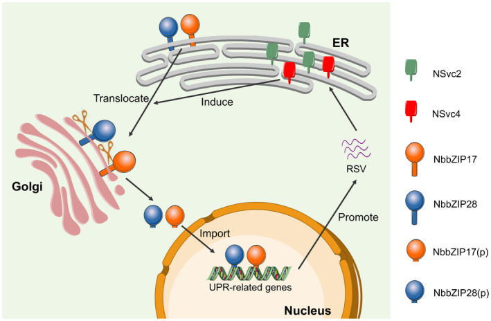 FIGURE 6