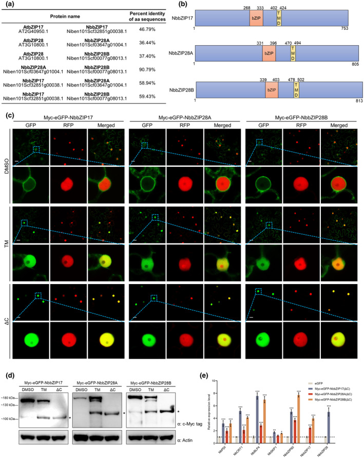 FIGURE 3