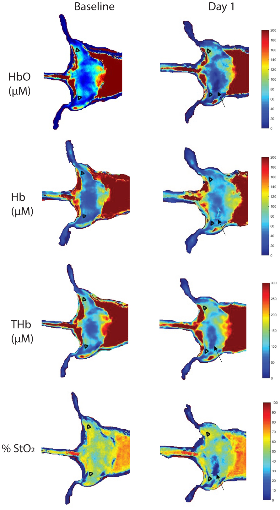 Fig. 8: