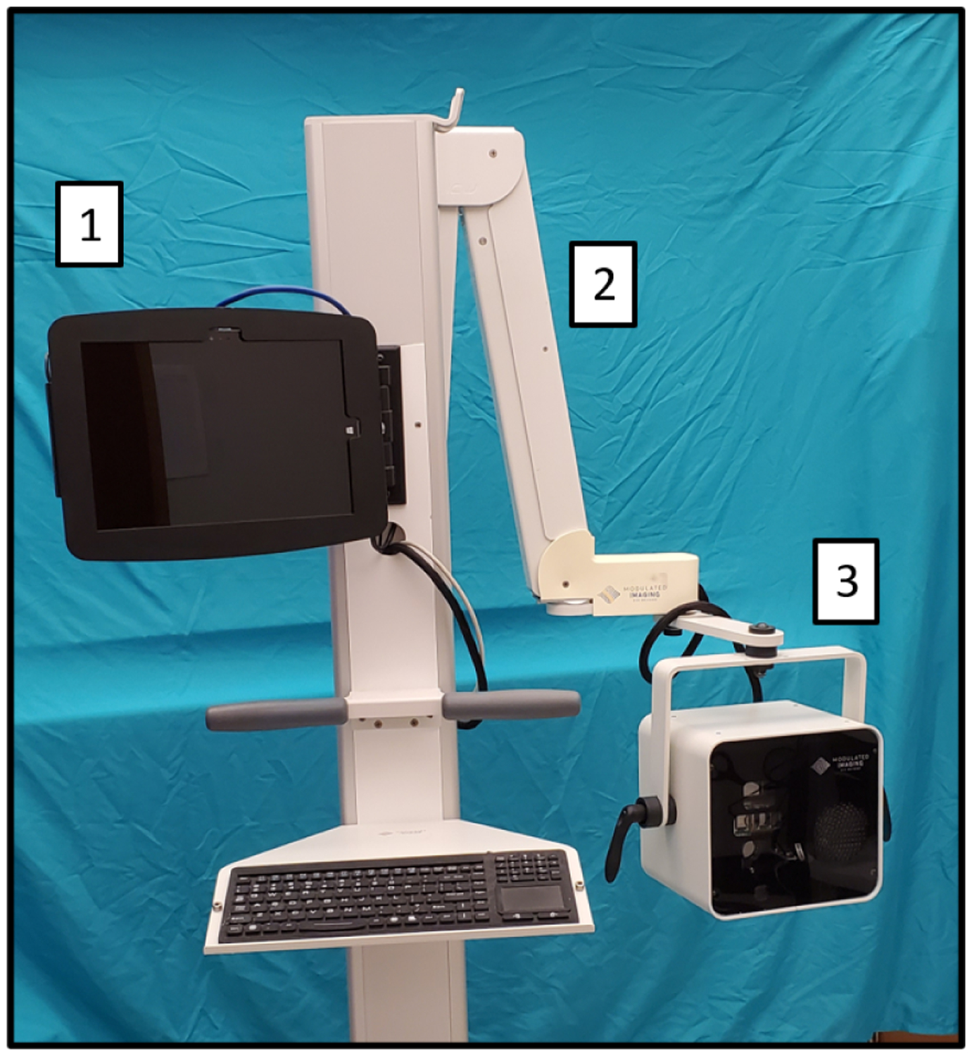 Fig. 1: