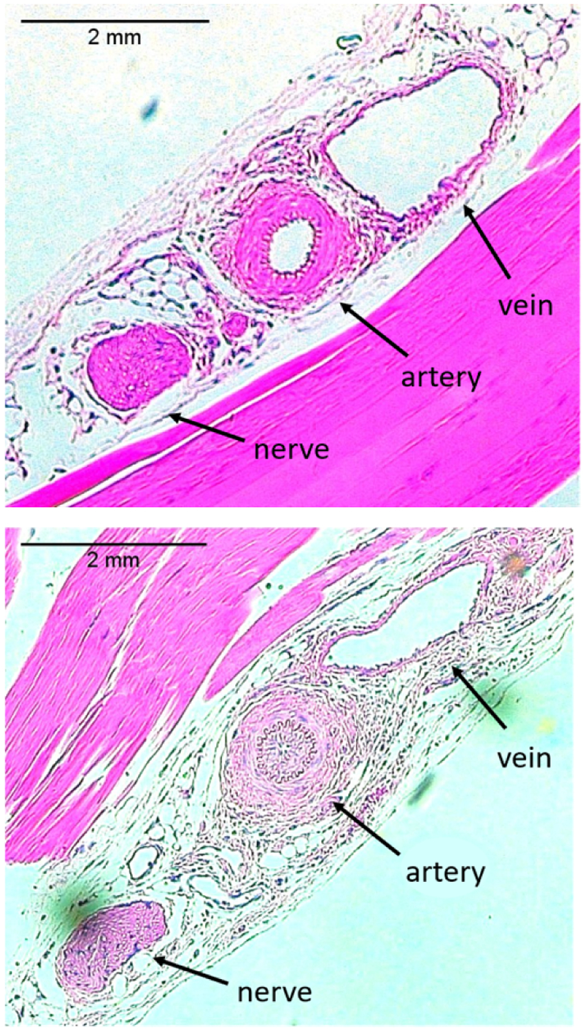 Fig. 4: