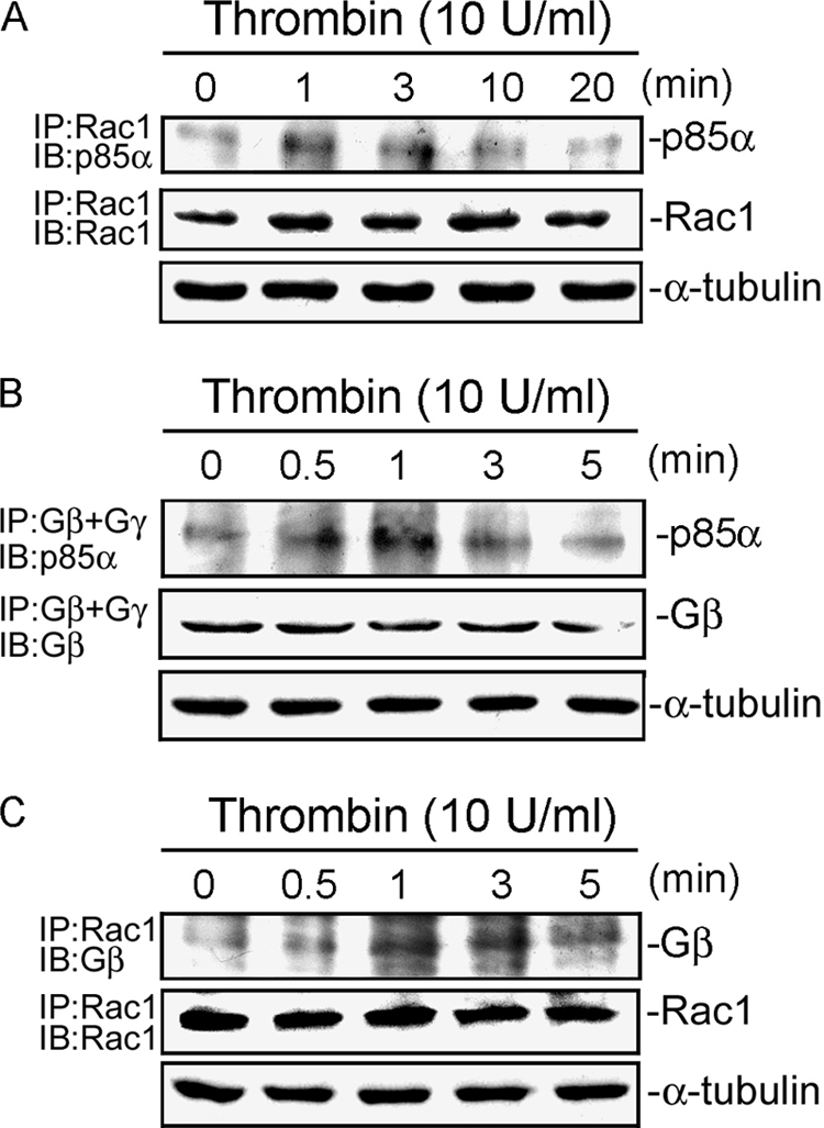 FIGURE 9.