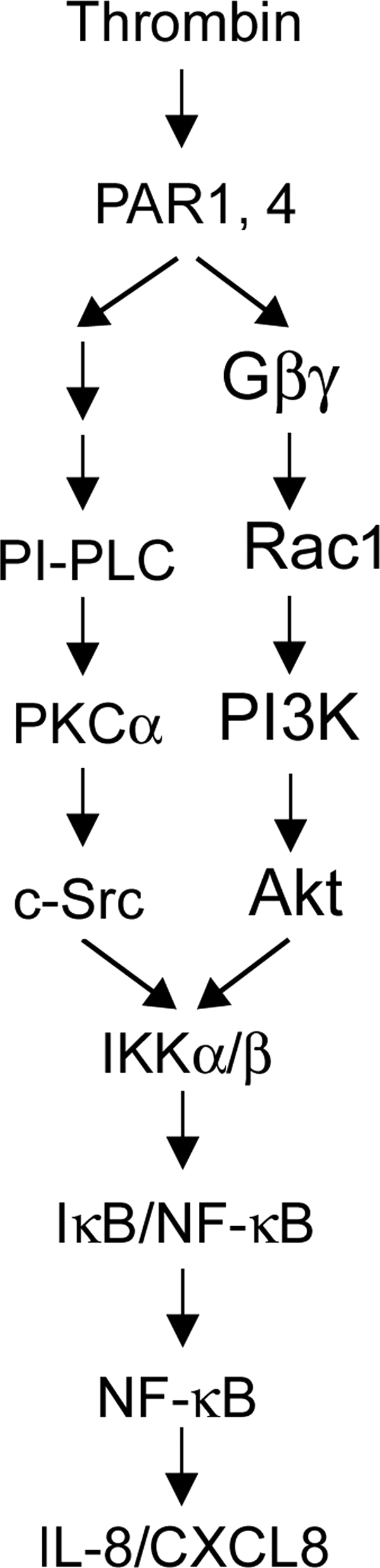 FIGURE 10.