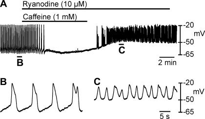 Fig. 8.