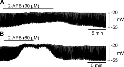 Fig. 9.