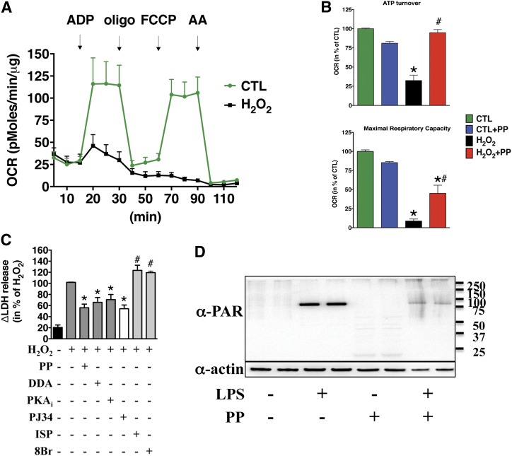 Fig. 11.