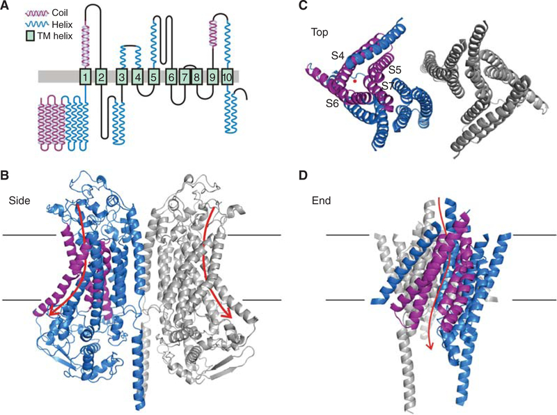 Figure 3.