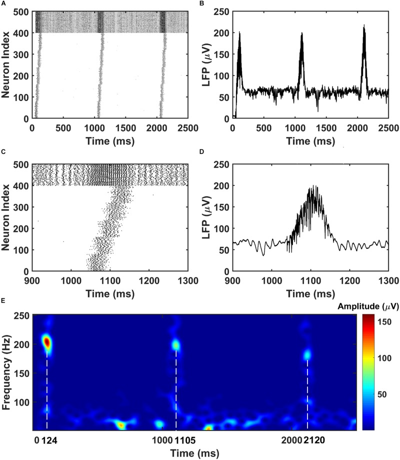 FIGURE 2