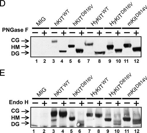 FIG.4.