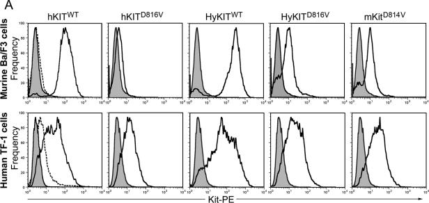 FIG.4.