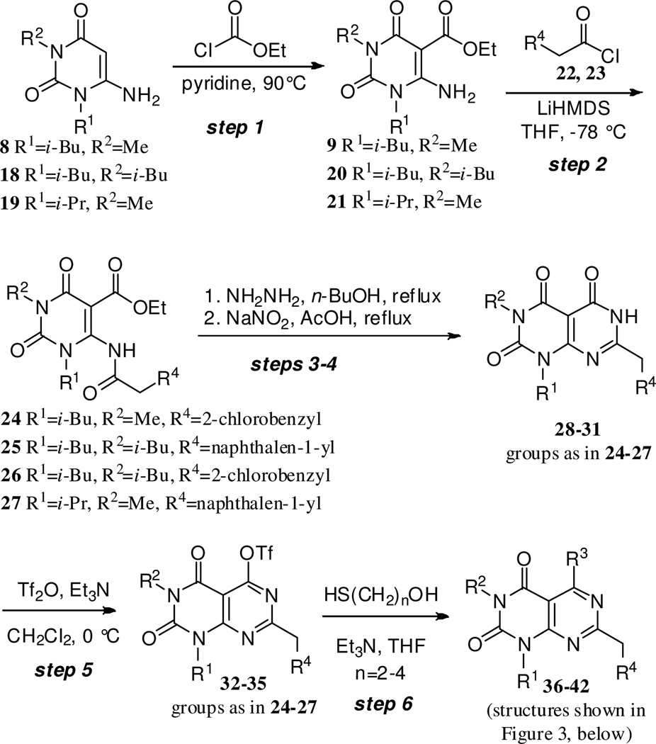 Scheme 3