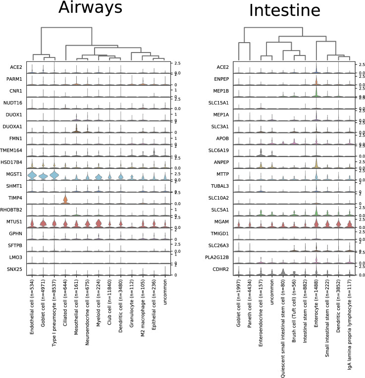 Fig 10