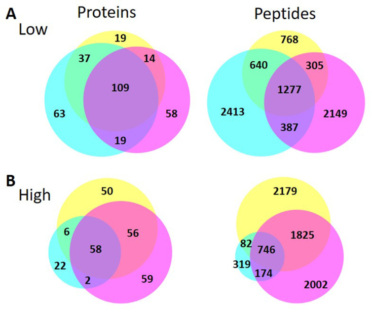 Figure 5—figure supplement 1.