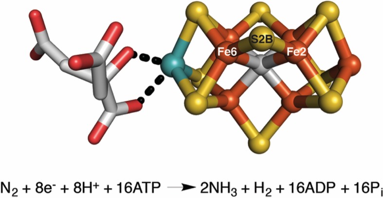 Figure 1.