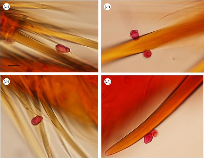 Figure 10.