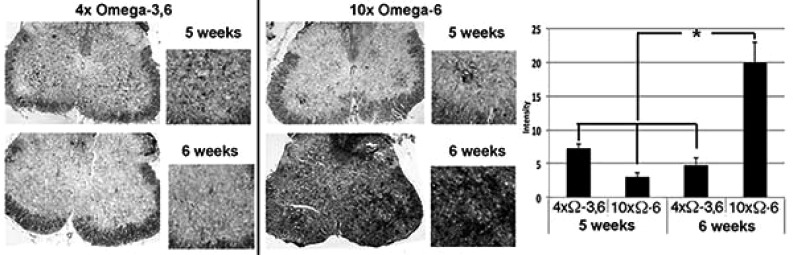 Fig. (3)