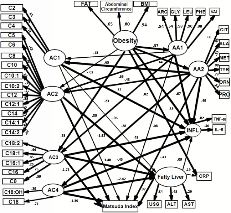 Fig 2