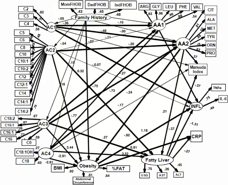 Fig 3